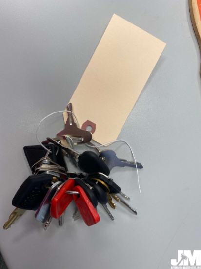 SET OF VARIOUS EQUIPMENT KEYS