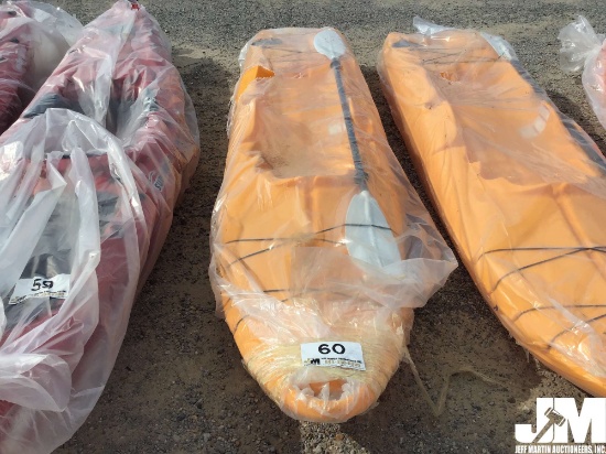(UNUSED) FUTURE BEACH WATERSKATE VIN QJE112346K617 KAYAK