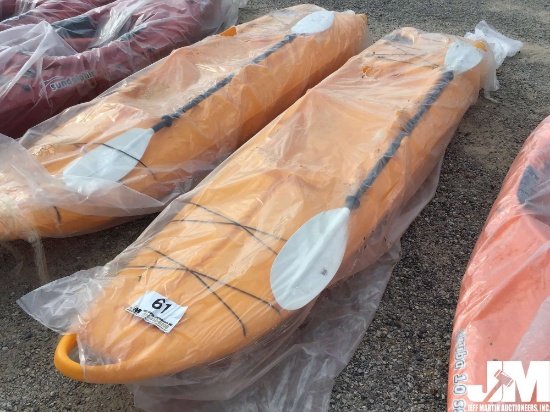 (UNUSED) FUTURE BEACH WATERSKATE VIN QJE11022K617 KAYAK
