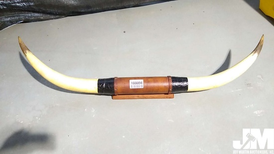 DECORATIVE BULL HORNS