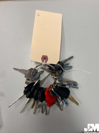 SET OF VARIOUS EQUIPMENT KEYS