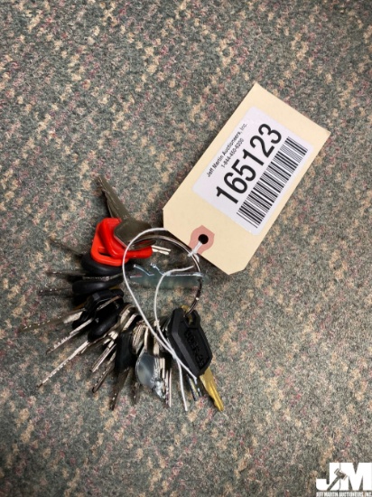 SET OF VARIOUS EQUIPMENT KEYS