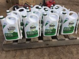 QTY OF (12) ROUNDUP WEED KILLER