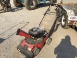 TROY-BILT CHIPPER PUSH MOWER