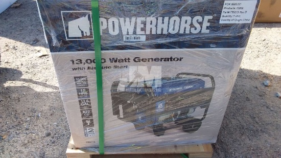 WATTS 13,000 PORTABLE GENERATOR