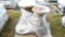 DECORATIVE CONCRETE YARD ITEMS, ***CONDITION UNKNOWN***