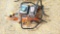 POWERMATE WALK BEHIND EDGER