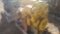 1999 CAT 3126 SN: 7AS61857 ENGINE