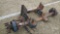 STEERABLE LIFT AXLE
