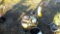DEWALT PRESSURE WASHER