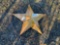 METAL 3' STAR