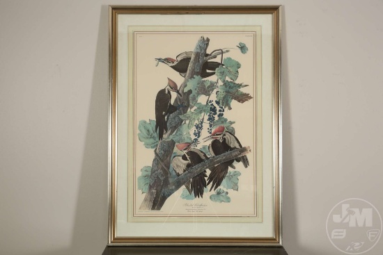 PILEATED WOODPECKER, GROUP 23/PLATE 111, AFTER JOHN JAMES AUDUBON, DIMENSIONS: