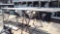 QTY OF MISC PIPE W/ SCREEN & CONE NOSE, (2)