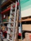 VARIOUS SIZE EXTENSION LADDERS