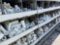 MISC SIZE PVC PIPE FITTINGS, *** SHELVES INCLUDED***