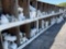 MISC SIZE PVC PIPE FITTINGS, ***SHELVES INCLUDED***