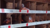 QTY OF MISC SIZED CPVC PIPE FITTINGS, COUPLINGS, REDUCERS