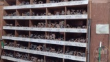QTY OF MISC SIZED PIPE FITTINGS, TEE COUPLINGS, REDUCERS