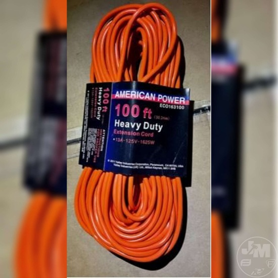100 FT HEAVY DUTY OUTDOOR EXTENSION CORD (2 PER LOT)