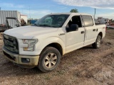 2015 FORD F-150 XLT VIN: 1FTEW1EF7FKD82533 PICKUP