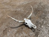 LONGHORN SKULL