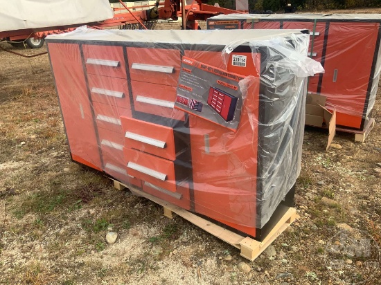 NEW/UNUSED 2023 DIGGIT 10D TOOL CABINET, 100LBS PER DRAWER