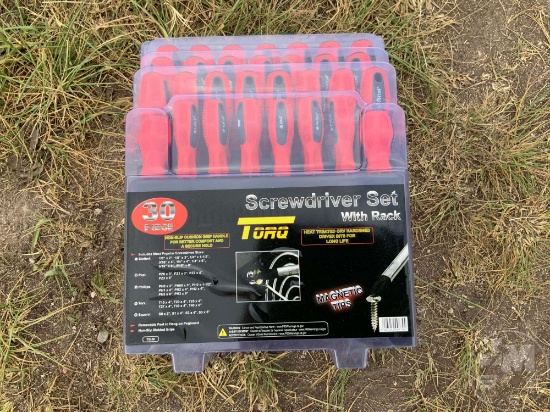 TORQ 30 PC SCREWDRIVER SET