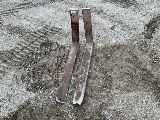 45 IN.  FORKS