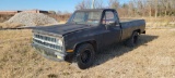 1981 CHEVROLET C/K PICKUP REGULAR CAB PICKUP VIN: 1GCCC14D5BF393291