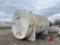 FUEL TANK 10FT DIAMETER X 17FT LONG APPROX 10,000 GALLONS