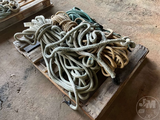 LOT OF MISC CLIMBING ROPE