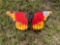 METAL BUTTERFLY