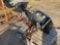 2015 SUZUKI DF90HP VIN: NMB-002ZX OUTBOARD MOTOR