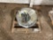 QTY OF 20”...... DISC