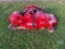 WOODS TK72.20 6' SN: 10008986036003 FINISHING MOWER