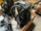 ZULDBERG FRONT MOUNT PTO 6PART#4286889M98