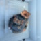 CRATE OF DURST OFFROAD GEAR BOX