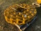 CATERPILLAR D7E 327-9305 LINK AS-TRACK