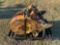 1996 JOHN DEERE SN: T84702 HYDRAULIC WINCH