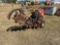DITCH WITCH 1230H WALK-BEHIND TRENCHER SN: 1R2954