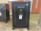 44 GUN SAFE