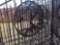 20' GATE TREE OF LIFE