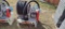DIESEL PUMP WITH HOSE REEL AND METER