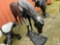 ALUMINUM HORSE GRAZING