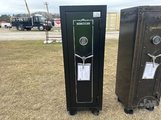 20 GUN SAFE