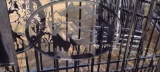 16' GATE WITH OVAL DEER