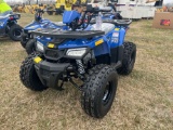 MUDHAWK 10 SN: L9NACKW30P1451041