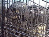 20' GATE TREE OF LIFE