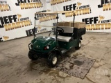 2015 CUSHMAN HAULER 1200 3126744