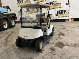 2019 EZ GO RXV 5505994